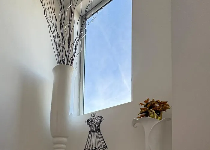 Ami Ziano Piacentino